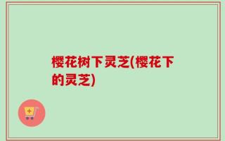 樱花树下灵芝(樱花下的灵芝)