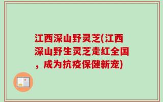 江西深山野灵芝(江西深山野生灵芝走红全国，成为抗疫保健新宠)