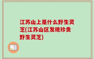 江苏山上是什么野生灵芝(江苏山区发现珍贵野生灵芝)