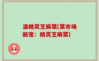 温精灵芝麻菜(菜市场新宠：精灵芝麻菜)