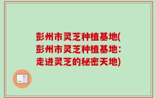 彭州市灵芝种植基地(彭州市灵芝种植基地：走进灵芝的秘密天地)