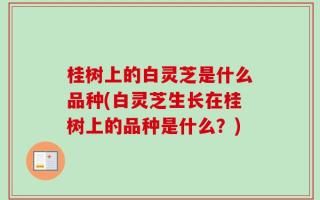 桂树上的白灵芝是什么品种(白灵芝生长在桂树上的品种是什么？)