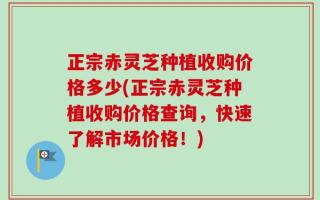 正宗赤灵芝种植收购价格多少(正宗赤灵芝种植收购价格查询，快速了解市场价格！)