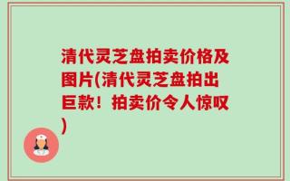 清代灵芝盘拍卖价格及图片(清代灵芝盘拍出巨款！拍卖价令人惊叹)