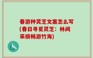 春游种灵芝文案怎么写(春日寻觅灵芝：林间采摘畅游竹海)