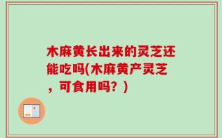 木麻黄长出来的灵芝还能吃吗(木麻黄产灵芝，可食用吗？)