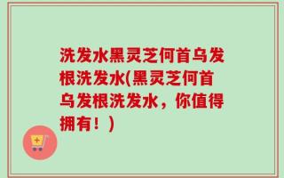 洗发水黑灵芝何首乌发根洗发水(黑灵芝何首乌发根洗发水，你值得拥有！)