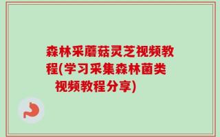 森林采蘑菇灵芝视频教程(学习采集森林菌类  视频教程分享)