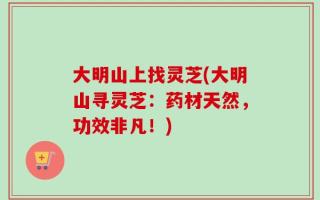 大明山上找灵芝(大明山寻灵芝：药材天然，功效非凡！)