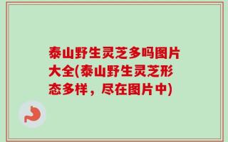 泰山野生灵芝多吗图片大全(泰山野生灵芝形态多样，尽在图片中)