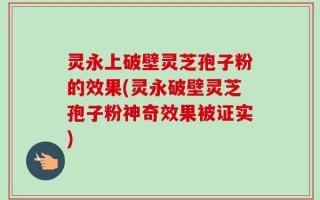 灵永上破壁灵芝孢子粉的效果(灵永破壁灵芝孢子粉神奇效果被证实)
