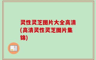 灵性灵芝图片大全高清(高清灵性灵芝图片集锦)