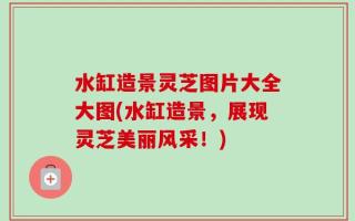 水缸造景灵芝图片大全大图(水缸造景，展现灵芝美丽风采！)