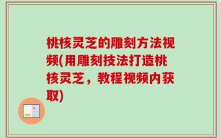 桃核灵芝的雕刻方法视频(用雕刻技法打造桃核灵芝，教程视频内获取)