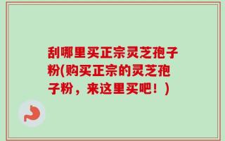 刮哪里买正宗灵芝孢子粉(购买正宗的灵芝孢子粉，来这里买吧！)