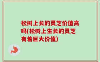 松树上长的灵芝价值高吗(松树上生长的灵芝有着巨大价值)