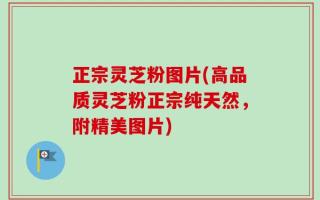 正宗灵芝粉图片(高品质灵芝粉正宗纯天然，附精美图片)