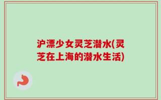 沪漂少女灵芝潜水(灵芝在上海的潜水生活)