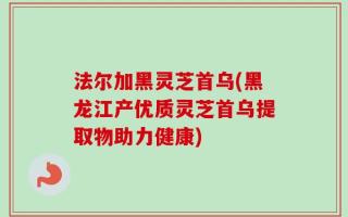 法尔加黑灵芝首乌(黑龙江产优质灵芝首乌提取物助力健康)