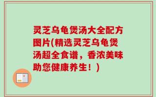 灵芝乌龟煲汤大全配方图片(精选灵芝乌龟煲汤超全食谱，香浓美味助您健康养生！)