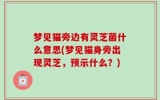 梦见猫旁边有灵芝菌什么意思(梦见猫身旁出现灵芝，预示什么？)