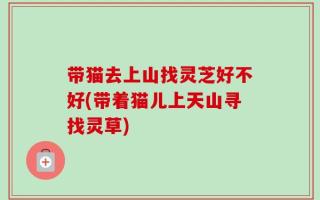 带猫去上山找灵芝好不好(带着猫儿上天山寻找灵草)