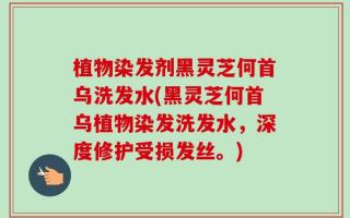 植物染发剂黑灵芝何首乌洗发水(黑灵芝何首乌植物染发洗发水，深度修护受损发丝。)