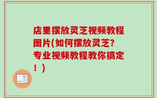 店里摆放灵芝视频教程图片(如何摆放灵芝？专业视频教程教你搞定！)