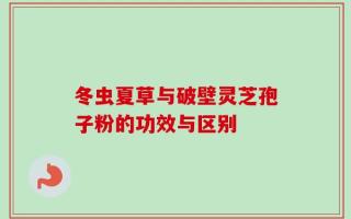 冬虫夏草与破壁灵芝孢子粉的功效与区别