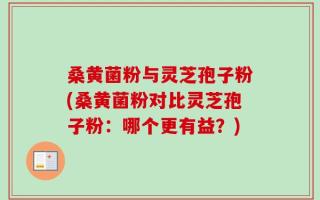 桑黄菌粉与灵芝孢子粉(桑黄菌粉对比灵芝孢子粉：哪个更有益？)