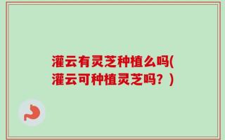 灌云有灵芝种植么吗(灌云可种植灵芝吗？)