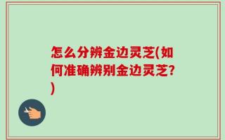 怎么分辨金边灵芝(如何准确辨别金边灵芝？)