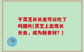 干灵芝长长虫可以吃了吗图片(灵芝上出现长长虫，成为新食材？)