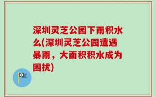 深圳灵芝公园下雨积水么(深圳灵芝公园遭遇暴雨，大面积积水成为困扰)