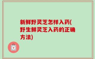 新鲜野灵芝怎样入药(野生鲜灵芝入药的正确方法)