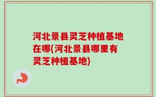 河北景县灵芝种植基地在哪(河北景县哪里有灵芝种植基地)