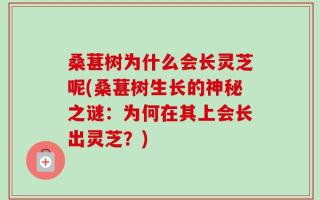 桑葚树为什么会长灵芝呢(桑葚树生长的神秘之谜：为何在其上会长出灵芝？)