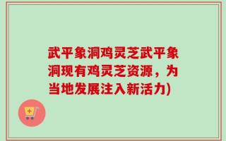 武平象洞鸡灵芝武平象洞现有鸡灵芝资源，为当地发展注入新活力)