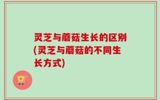 灵芝与蘑菇生长的区别(灵芝与蘑菇的不同生长方式)