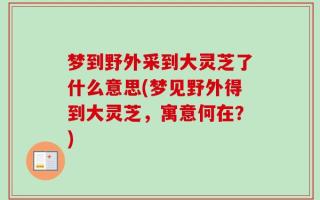 梦到野外采到大灵芝了什么意思(梦见野外得到大灵芝，寓意何在？)