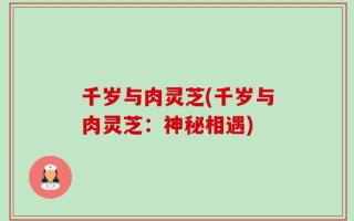 千岁与肉灵芝(千岁与肉灵芝：神秘相遇)