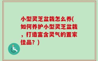 小型灵芝盆栽怎么养(如何养护小型灵芝盆栽，打造富含灵气的置家佳品？)