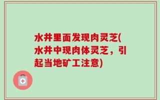 水井里面发现肉灵芝(水井中现肉体灵芝，引起当地矿工注意)