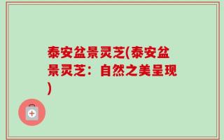 泰安盆景灵芝(泰安盆景灵芝：自然之美呈现)