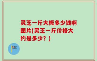 灵芝一斤大概多少钱啊图片(灵芝一斤价格大约是多少？)