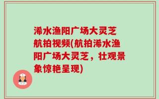 浠水渔阳广场大灵芝 航拍视频(航拍浠水渔阳广场大灵芝，壮观景象惊艳呈现)