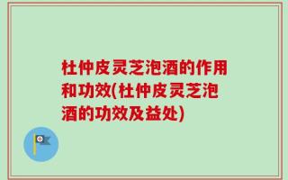 杜仲皮灵芝泡酒的作用和功效(杜仲皮灵芝泡酒的功效及益处)