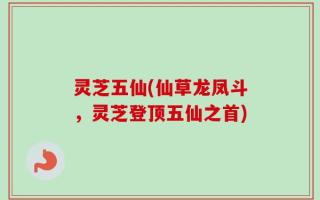 灵芝五仙(仙草龙凤斗，灵芝登顶五仙之首)