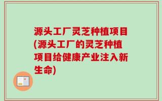 源头工厂灵芝种植项目(源头工厂的灵芝种植项目给健康产业注入新生命)