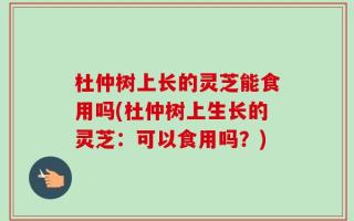 杜仲树上长的灵芝能食用吗(杜仲树上生长的灵芝：可以食用吗？)